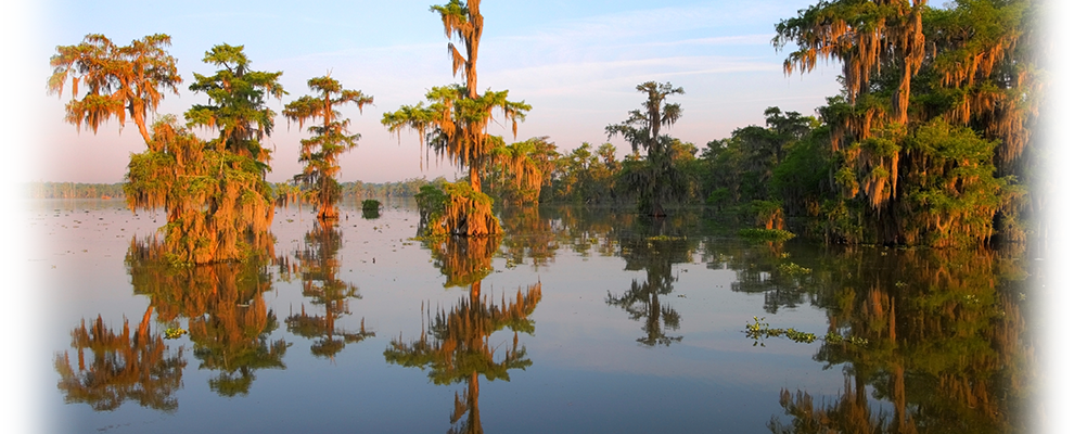 landry-law-firm-lafayette-louisiana