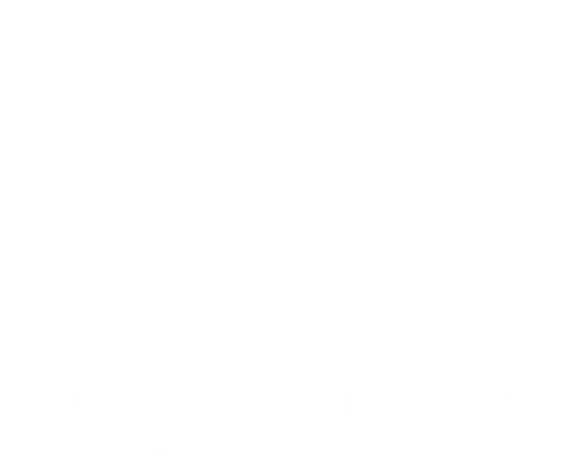 One Covenant Group Logo One Covenant Group Logo