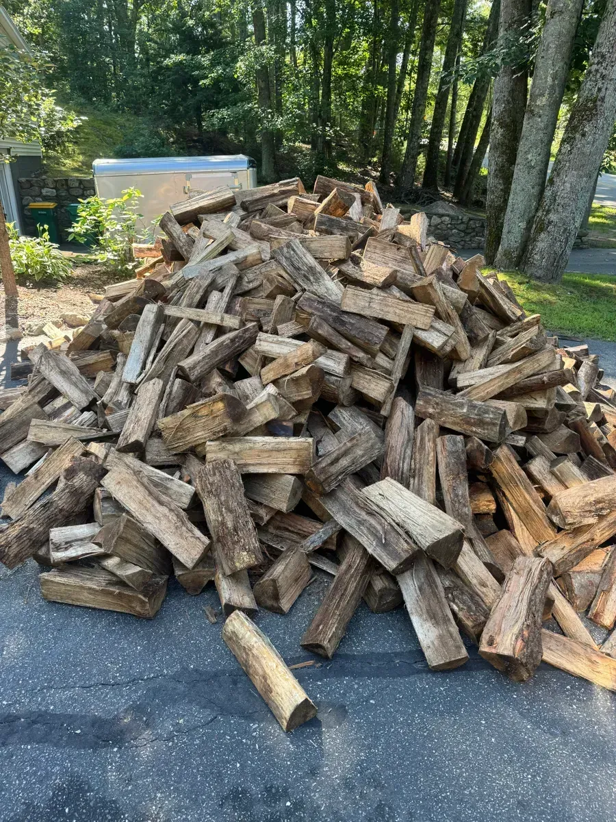 Pile of split firewood on a driveway beside trees, with a blue bin in the background.