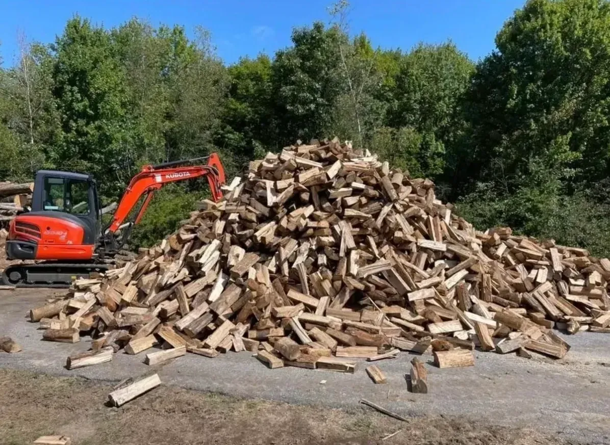 Orange excavator beside a large pile of chopped firewood in a dirt lot with trees behind it