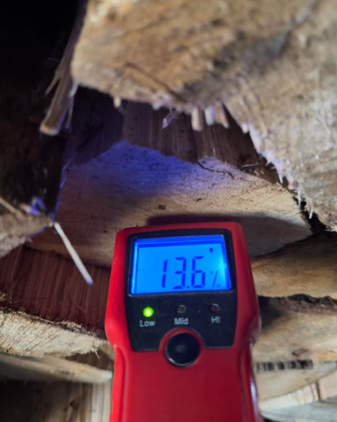 Red moisture meter reading 13.6% on damaged wood beam