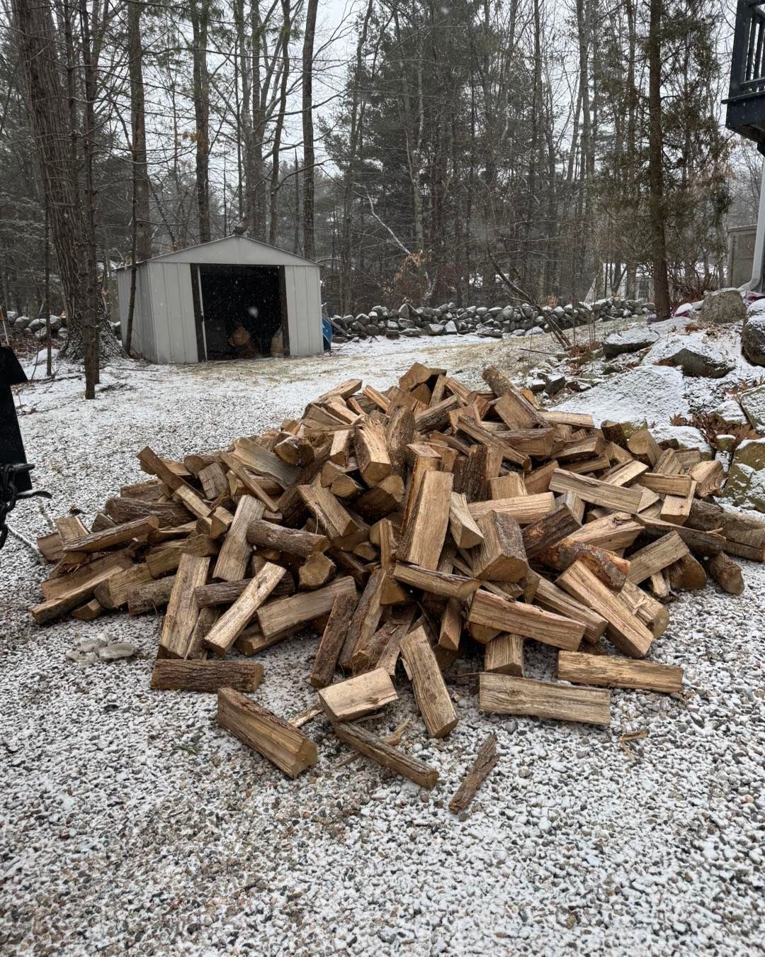 Pile of split firewood on snowy ground in a wooded yard, with a small shed in the background