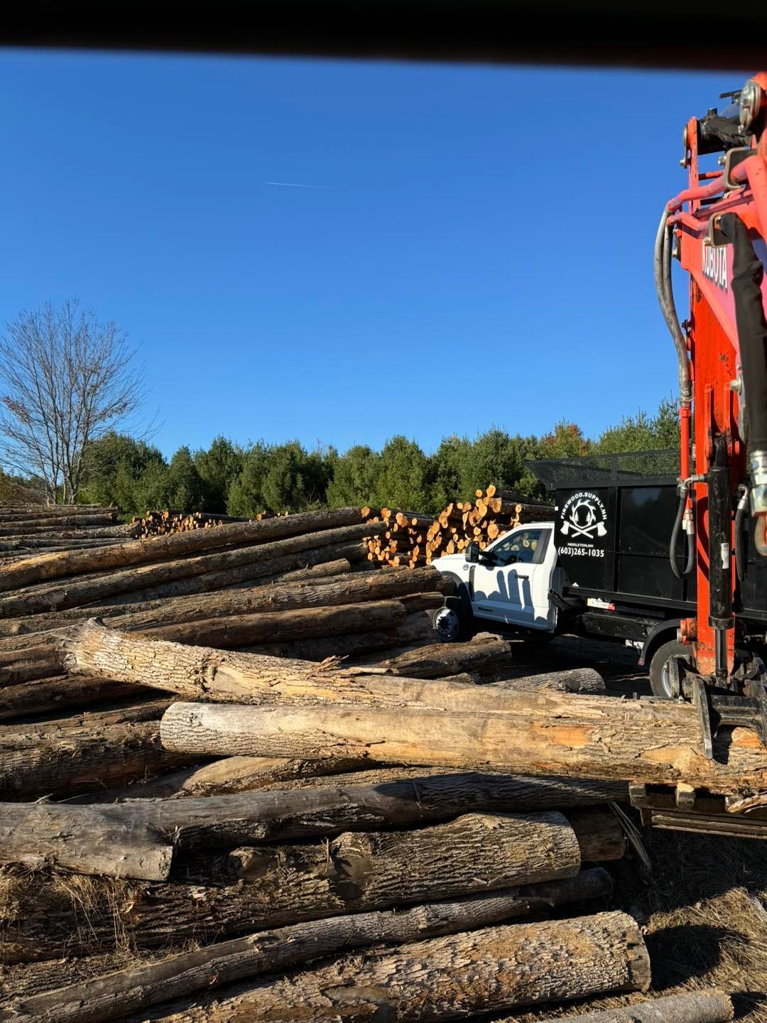 Logging site with stacked logs, a white truck, and orange forestry equipment under a clear blue sky