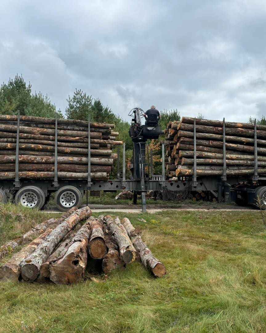 Logs loaded on trailers in a grassy field, with cut logs stacked in the foreground under cloudy sky
