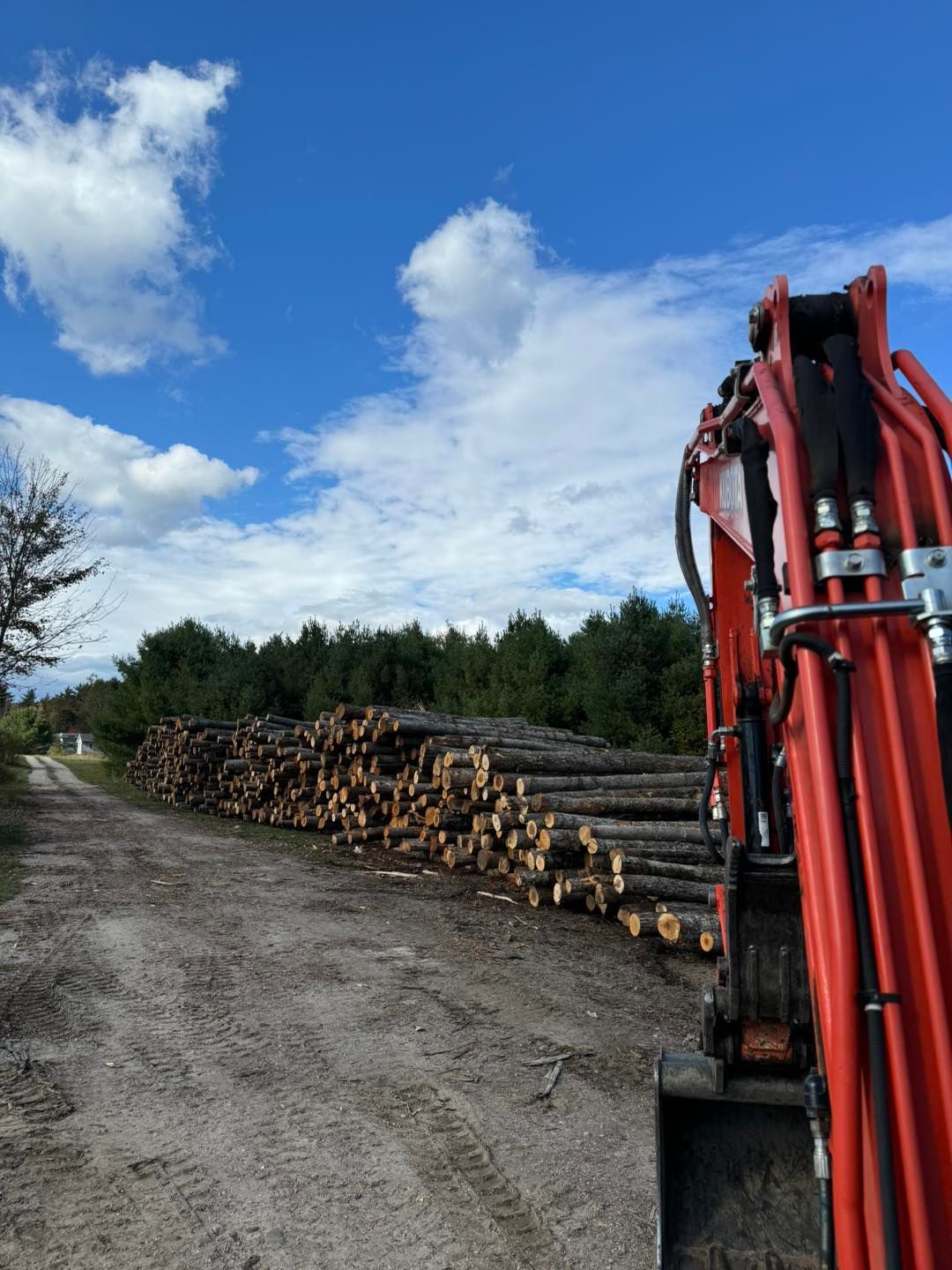 Stacked logs beside a gravel road, with a red excavator arm in the foreground under a cloudy blue sky