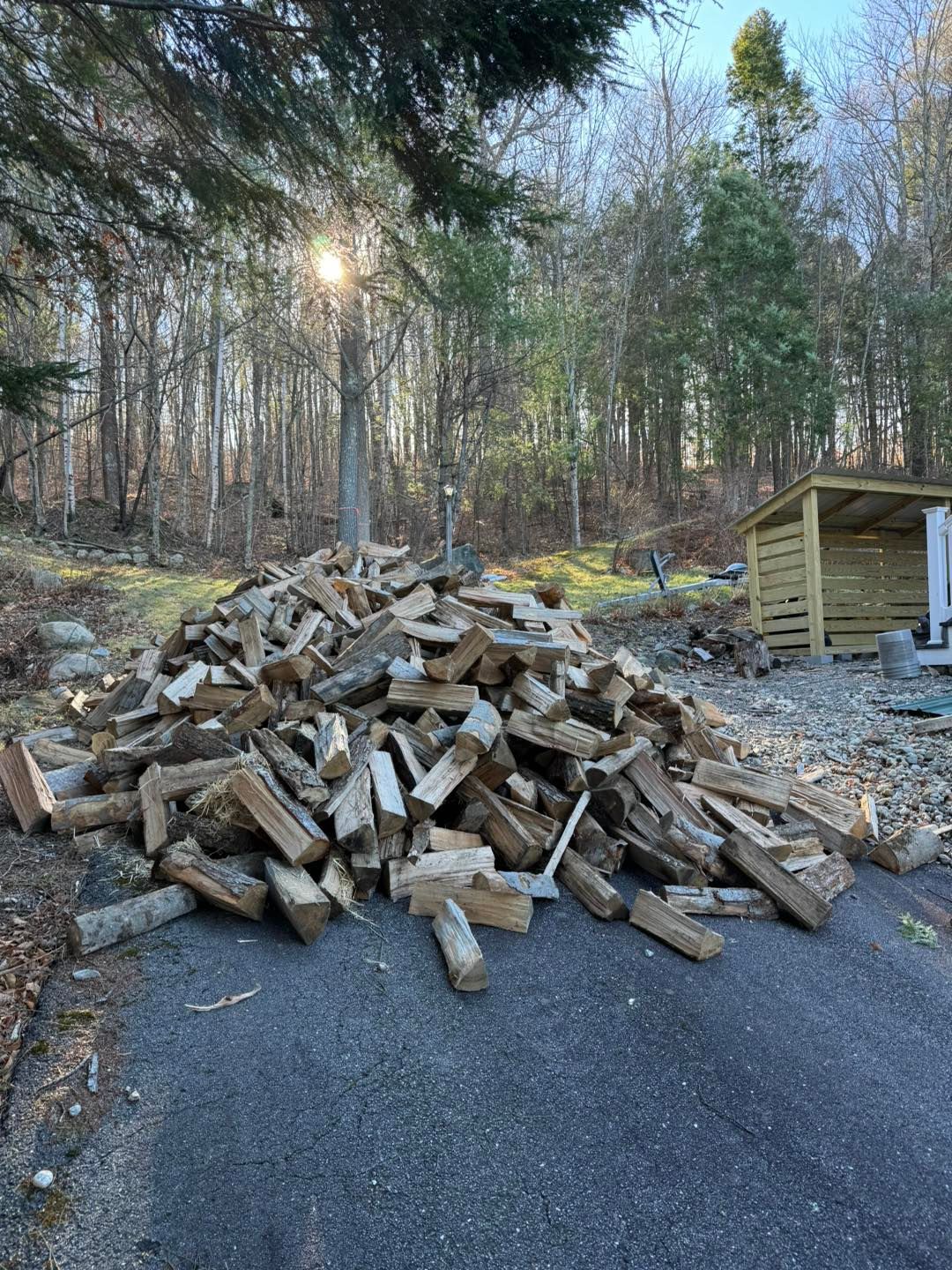 Pile of chopped firewood on a paved driveway beside a shed, with bare trees and sunlight in the background