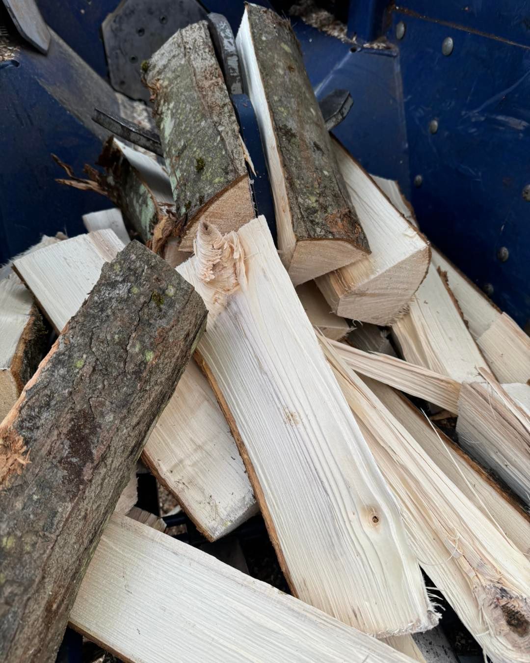 Pile of split firewood logs in a blue container