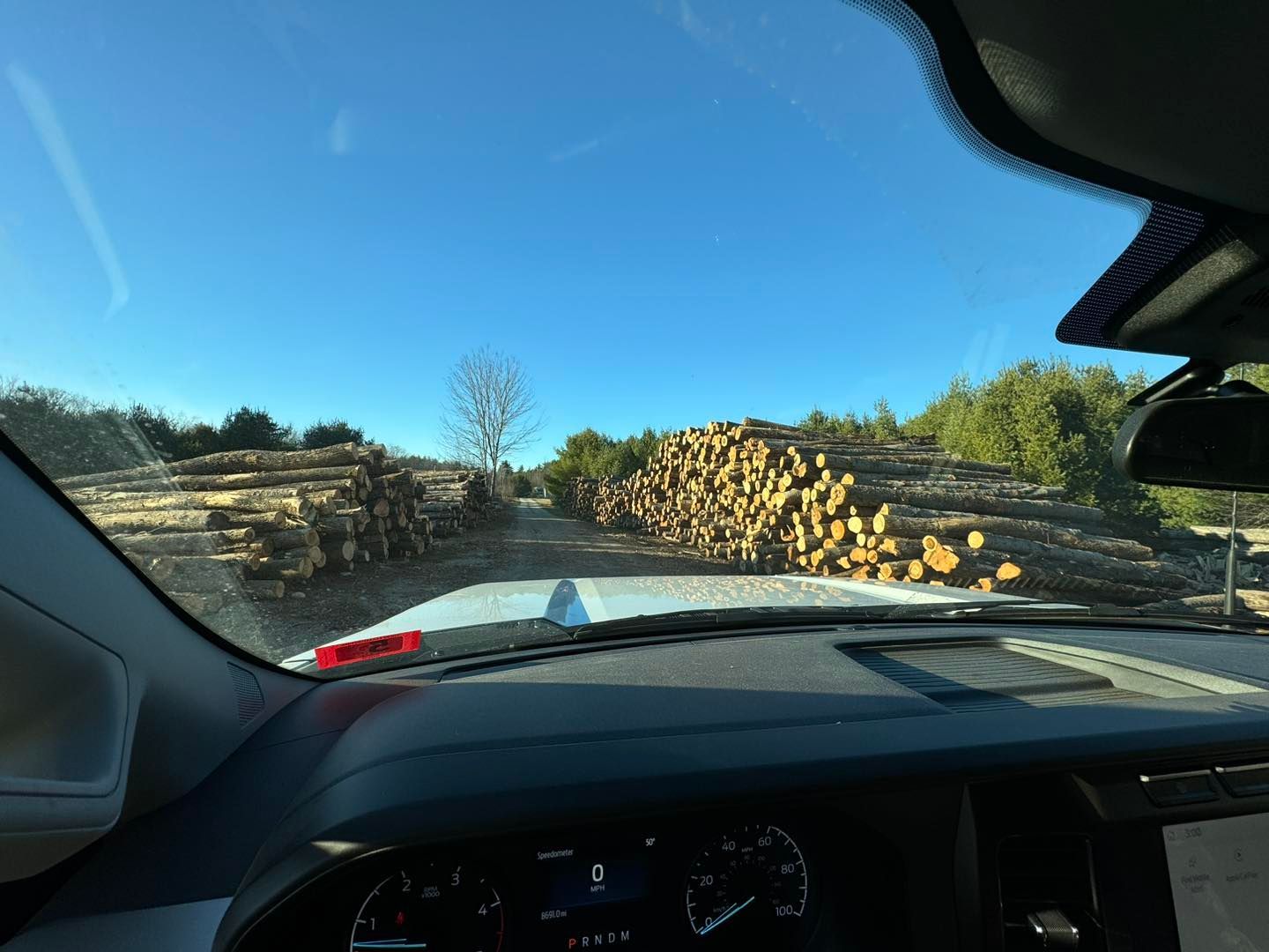 Driving on a narrow road lined with stacked logs under a clear blue sky