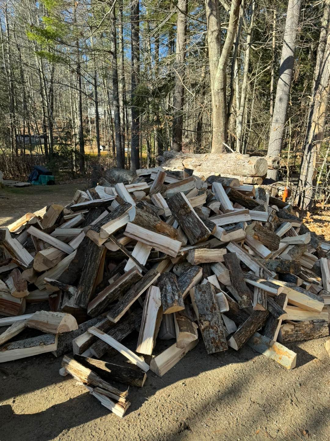 Pile of split firewood stacked outdoors in a wooded yard, with tall trees in the background