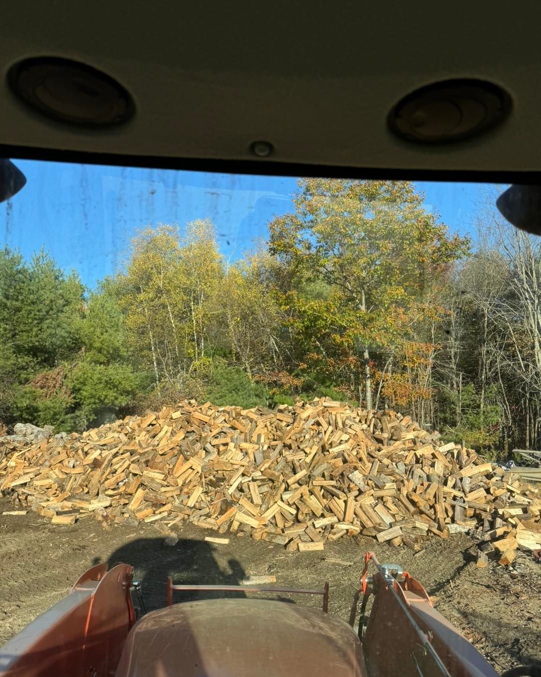 A large pile of cut firewood in a yard, viewed from inside a vehicle with trees in the background.