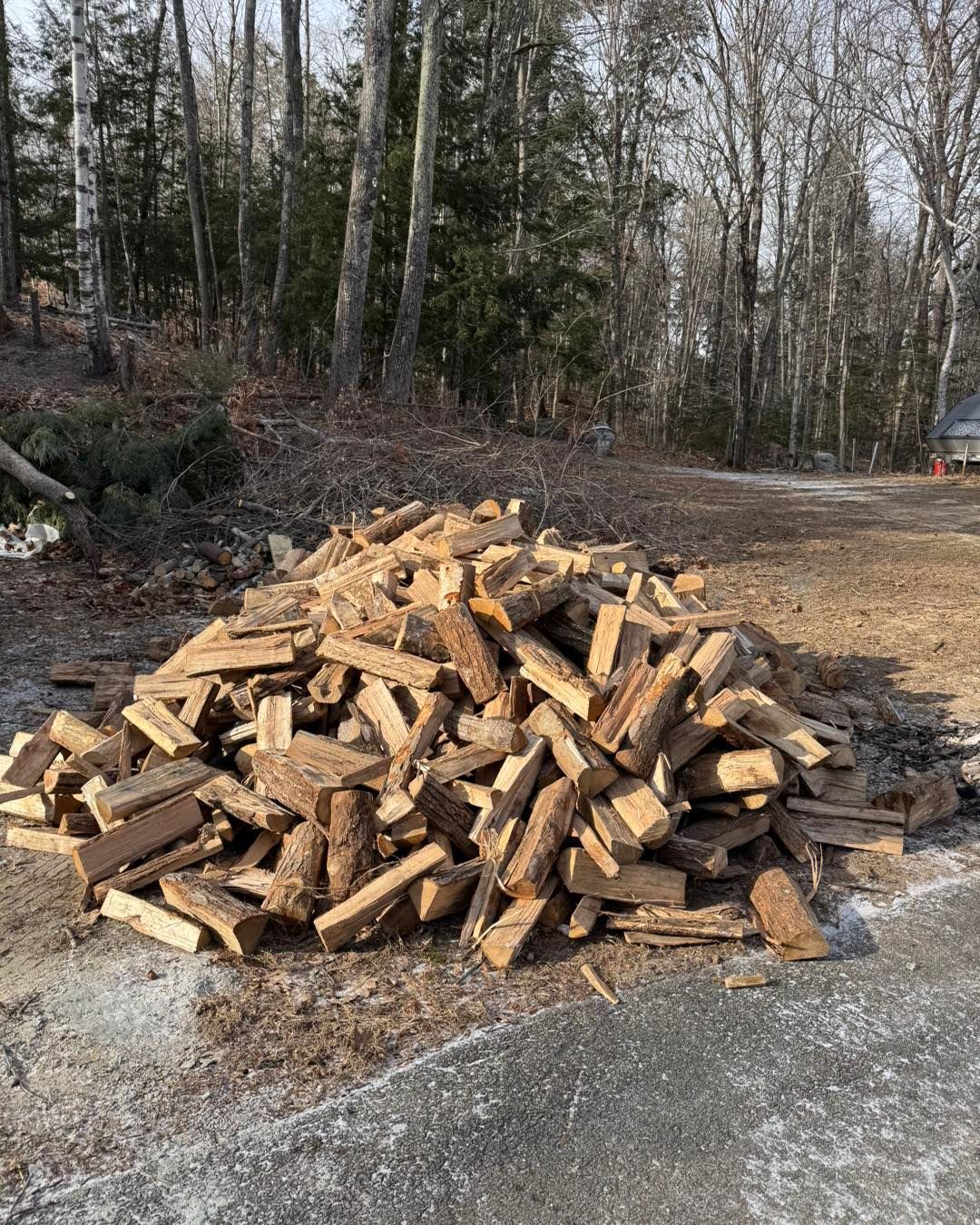Pile of split firewood beside a gravel drive, with bare trees in the background.