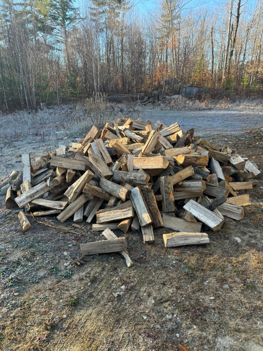 Pile of split firewood stacked on frosty ground at the edge of a wooded area