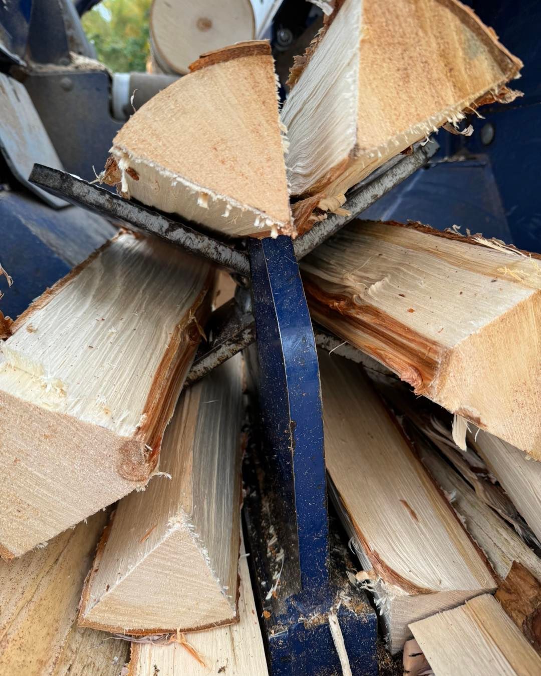 Split firewood stacked with a blue strap in a close-up view