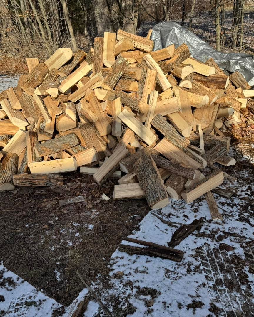 Pile of chopped firewood stacked outdoors on snowy ground with woods in the background