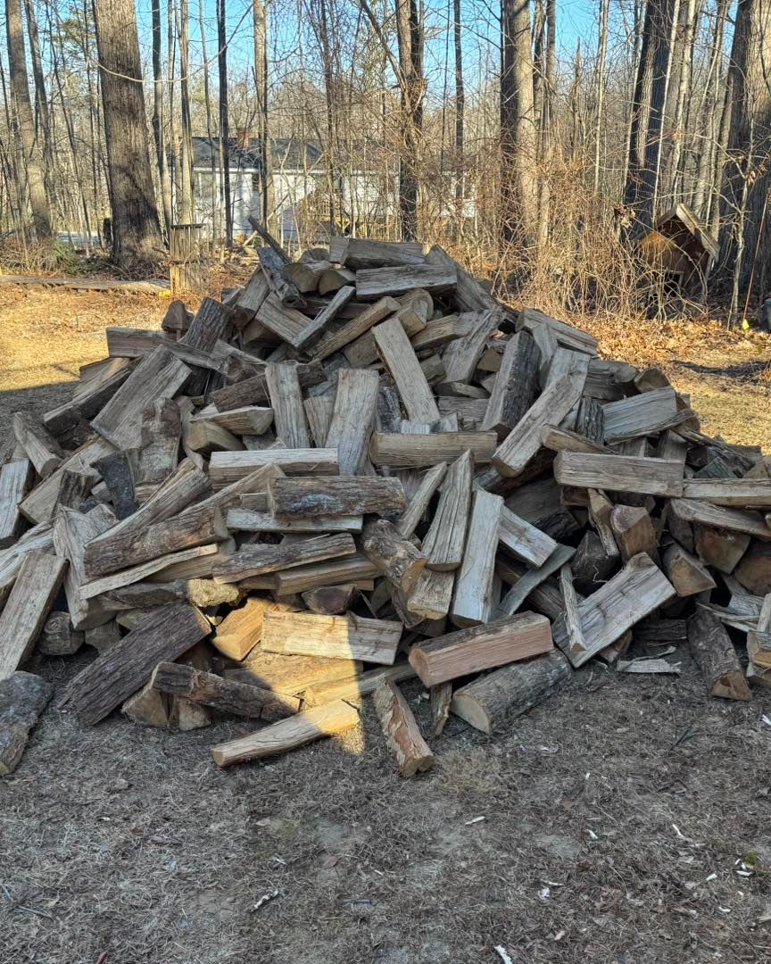 Pile of chopped firewood stacked outdoors in a wooded area with bare trees.