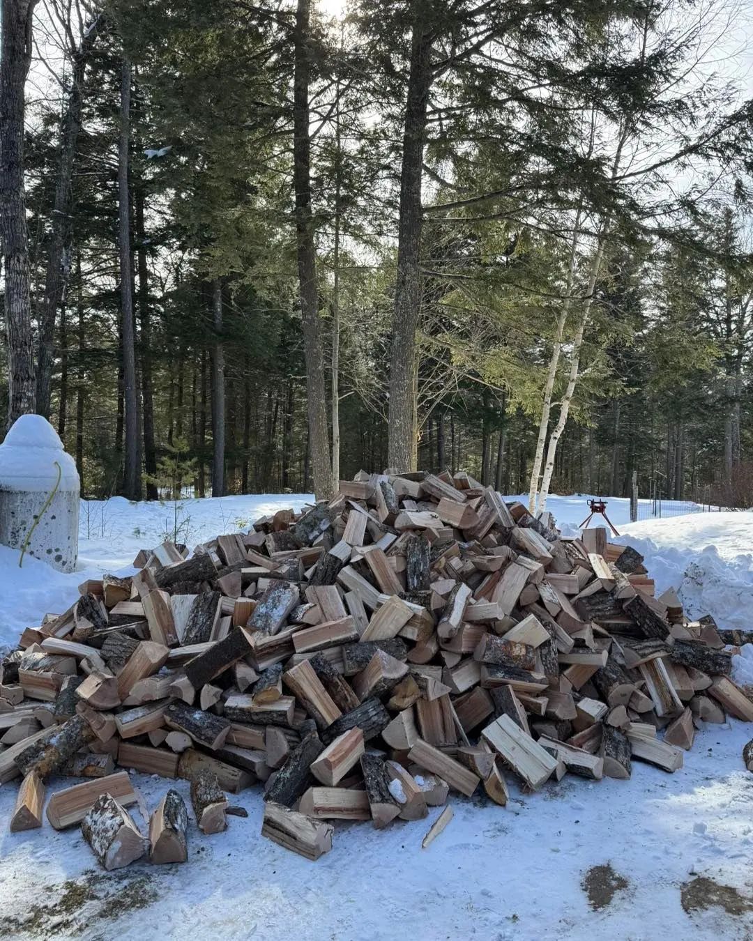 Pile of chopped firewood in the snow beside a forest, with a snowman on the left.