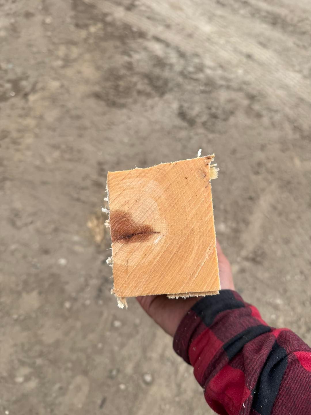 Hand holding a small cut piece of wood over a rough concrete surface