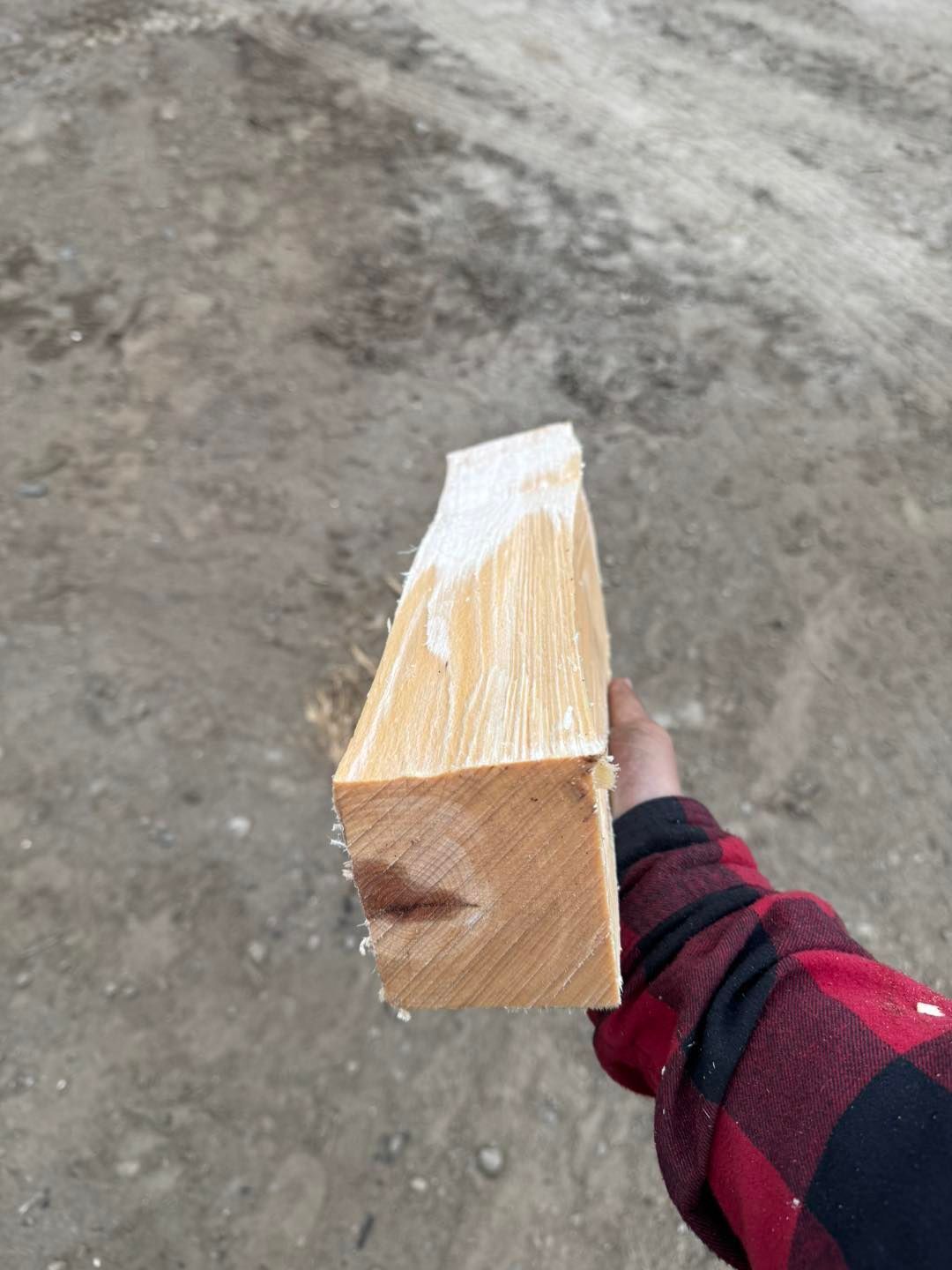 Hand holding a cut wooden block wrapped in plastic, outdoors on a rough gray surface