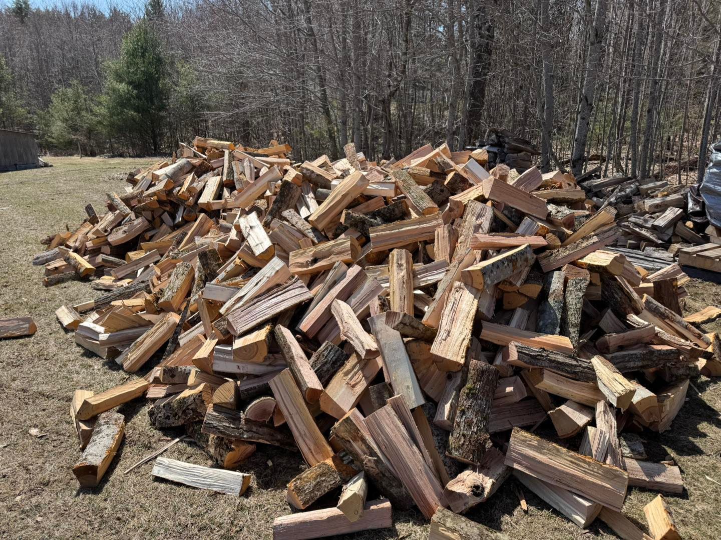 Pile of split firewood stacked outdoors in a yard with bare trees in the background