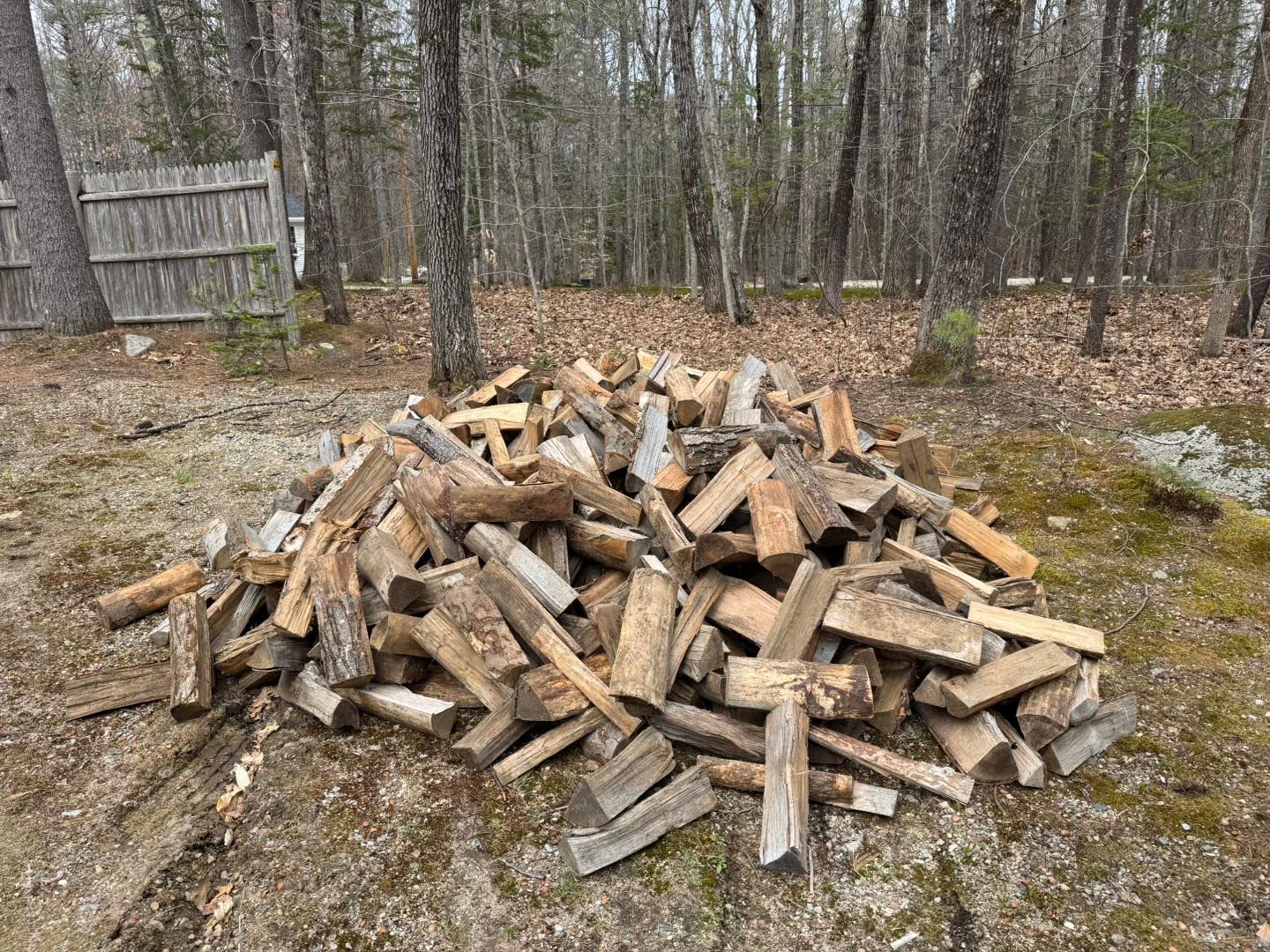 Pile of chopped firewood on gravel in a wooded yard, with bare trees in the background
