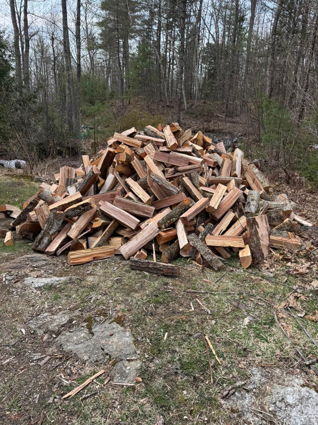 Pile of chopped firewood in a wooded clearing with bare trees and patchy ground.