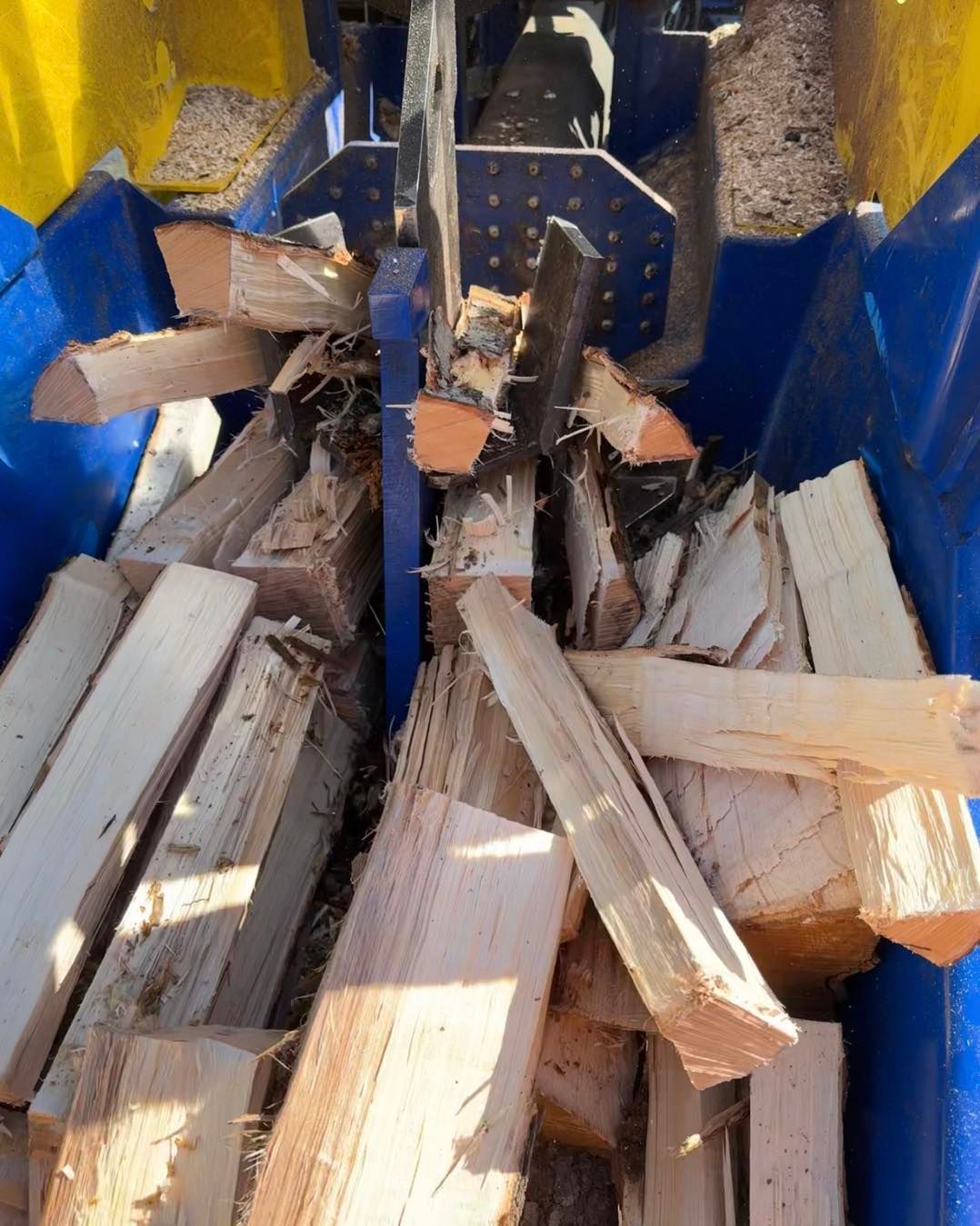 Wood scraps and split logs inside a blue wood chipper hopper