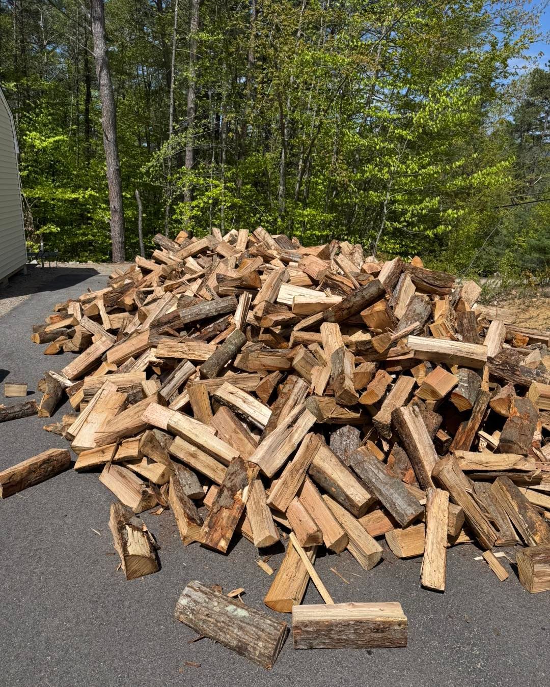 Large pile of chopped firewood on a paved driveway beside trees and a house.