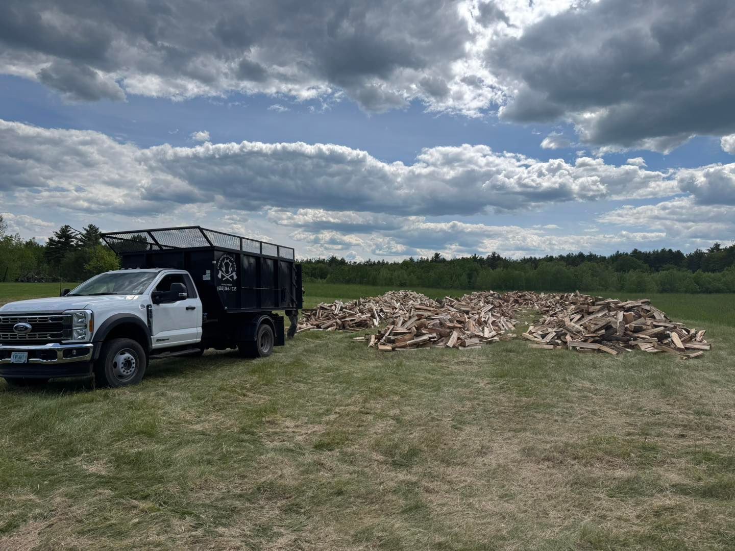 White dump truck beside a large pile of cut logs in a grassy field under a cloudy sky
