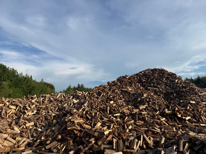 Large pile of wood chips under a blue sky with trees in the background