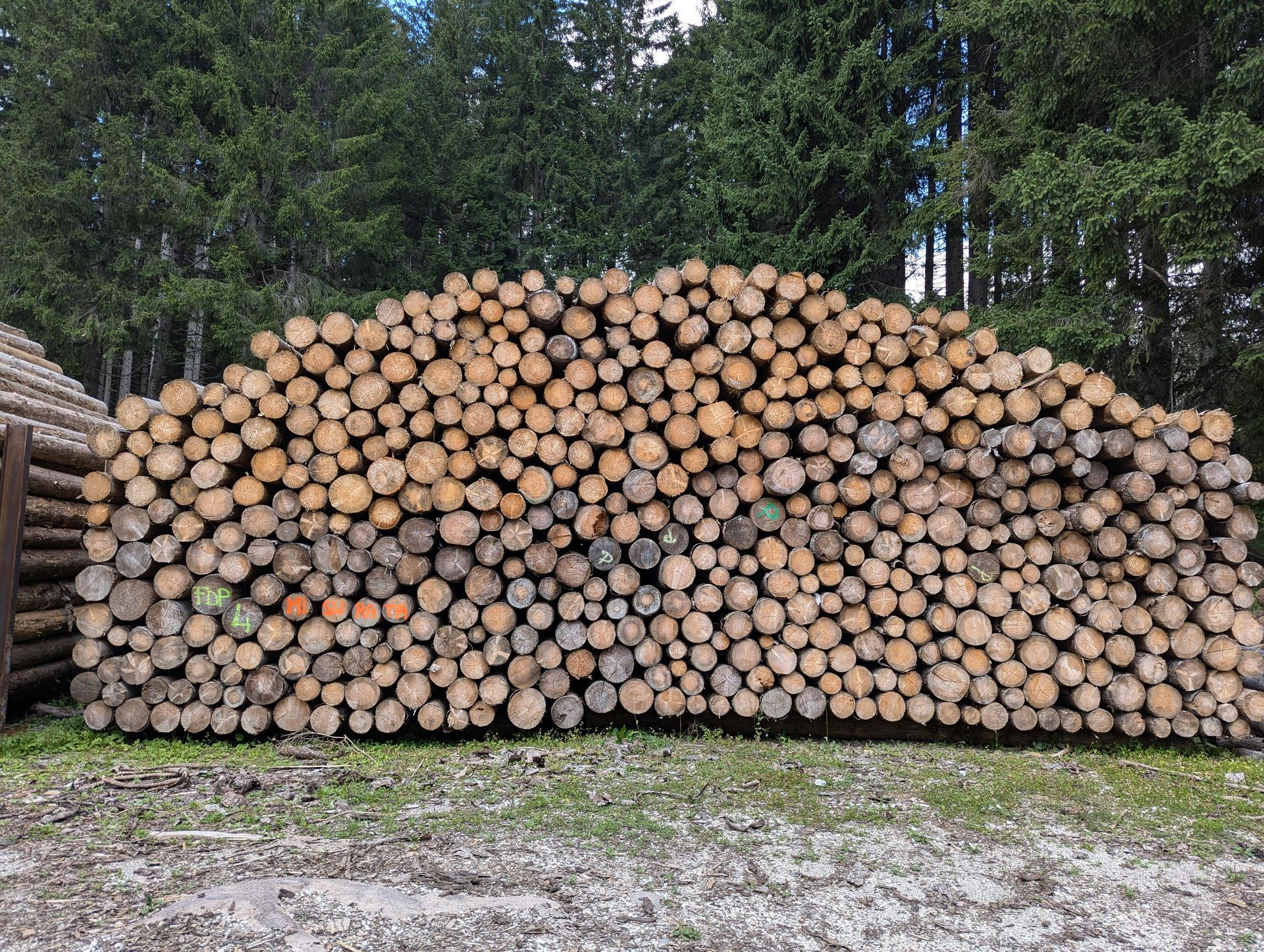 Stacked logs piled high in an outdoor yard, with trees in the background.