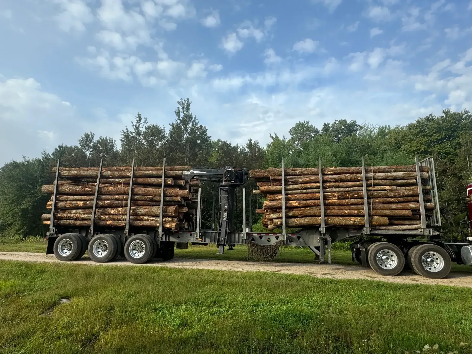 Two logging trucks loaded with cut logs parked side by side on a roadside under a blue sky