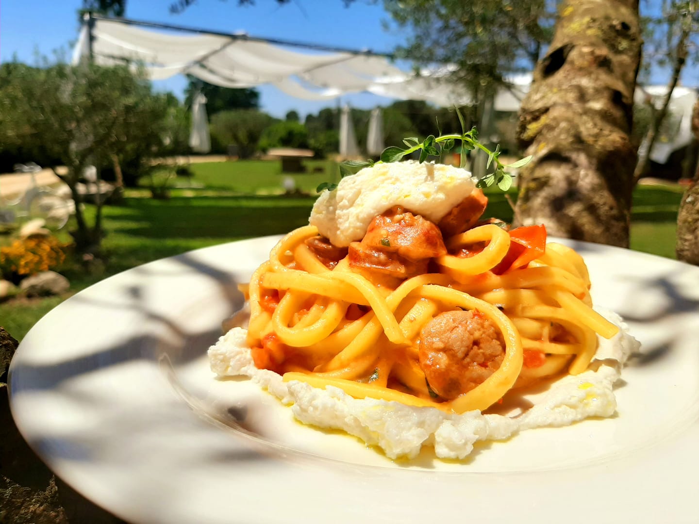 pasta 5