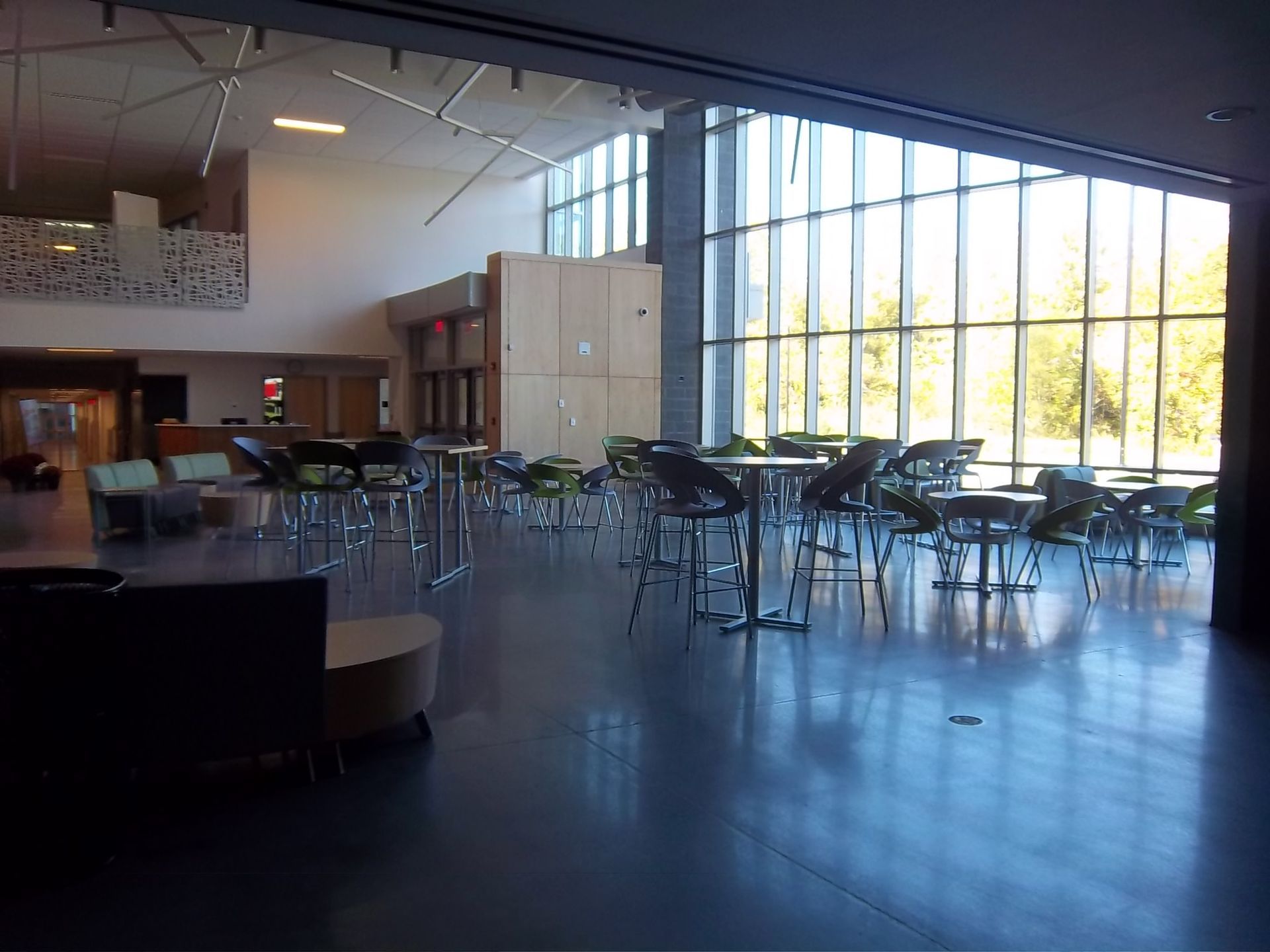 A sunlit atrium with modern tables, chairs, and large floor-to-ceiling windows overlooking green trees.