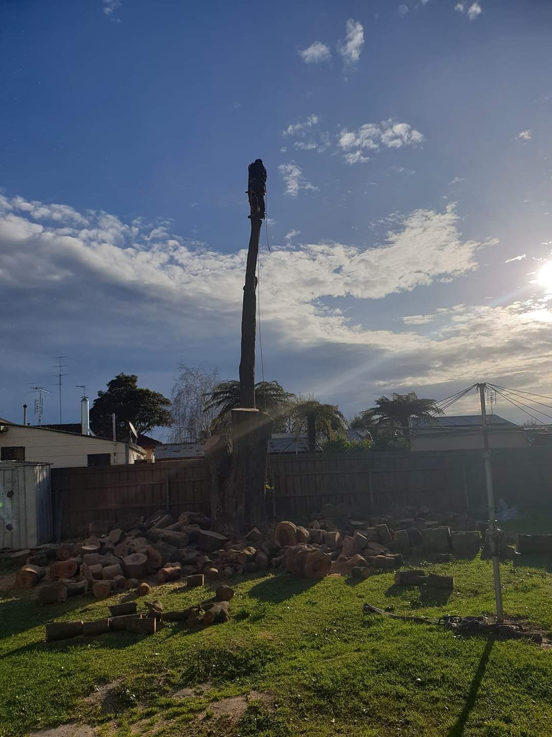 Backyard with a tall tree trunk, low houses, and scattered bricks under a bright blue sky at sunset