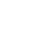Empty white background.