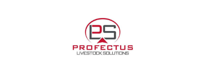 Profectus Logo