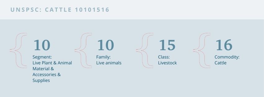 A graphic showing the UNSPSC code for cattle.