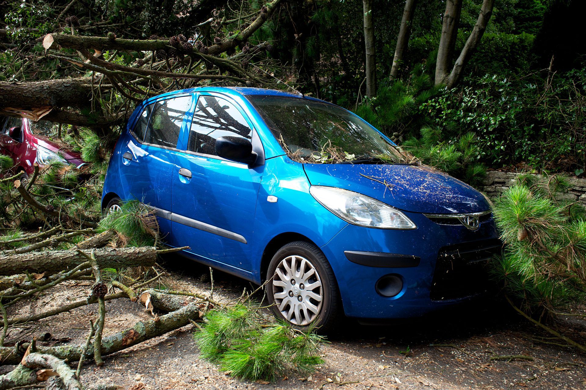 Blue car stuck in fallen branches and debris on a muddy forest path