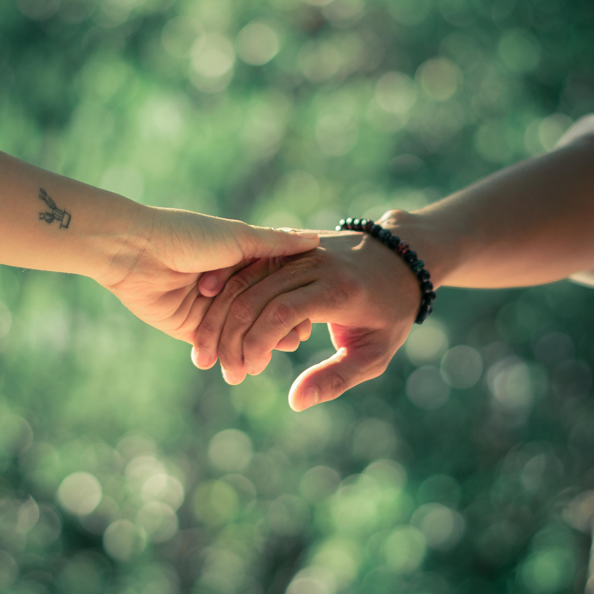 Two hands gently holding against a soft green blurred background