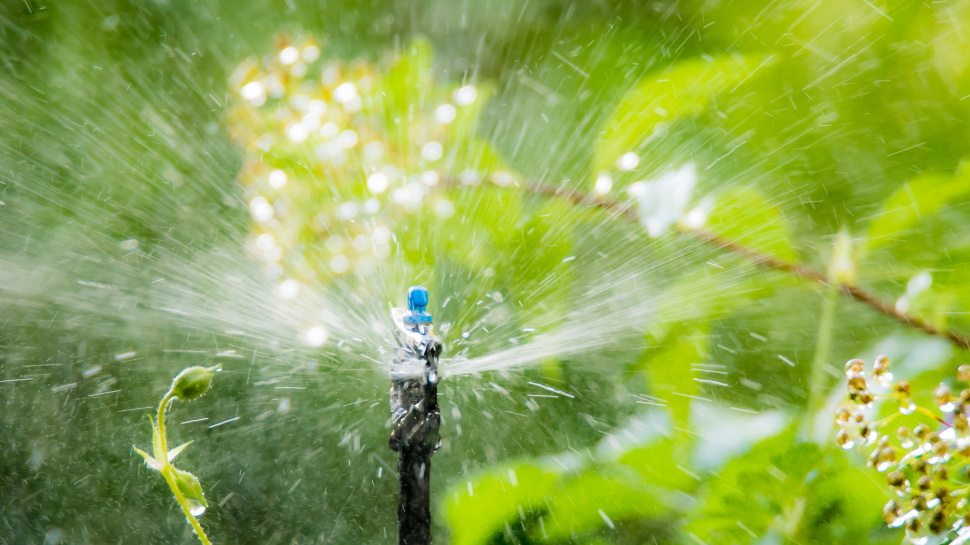 ¿Para qué sirve el agua tratada?