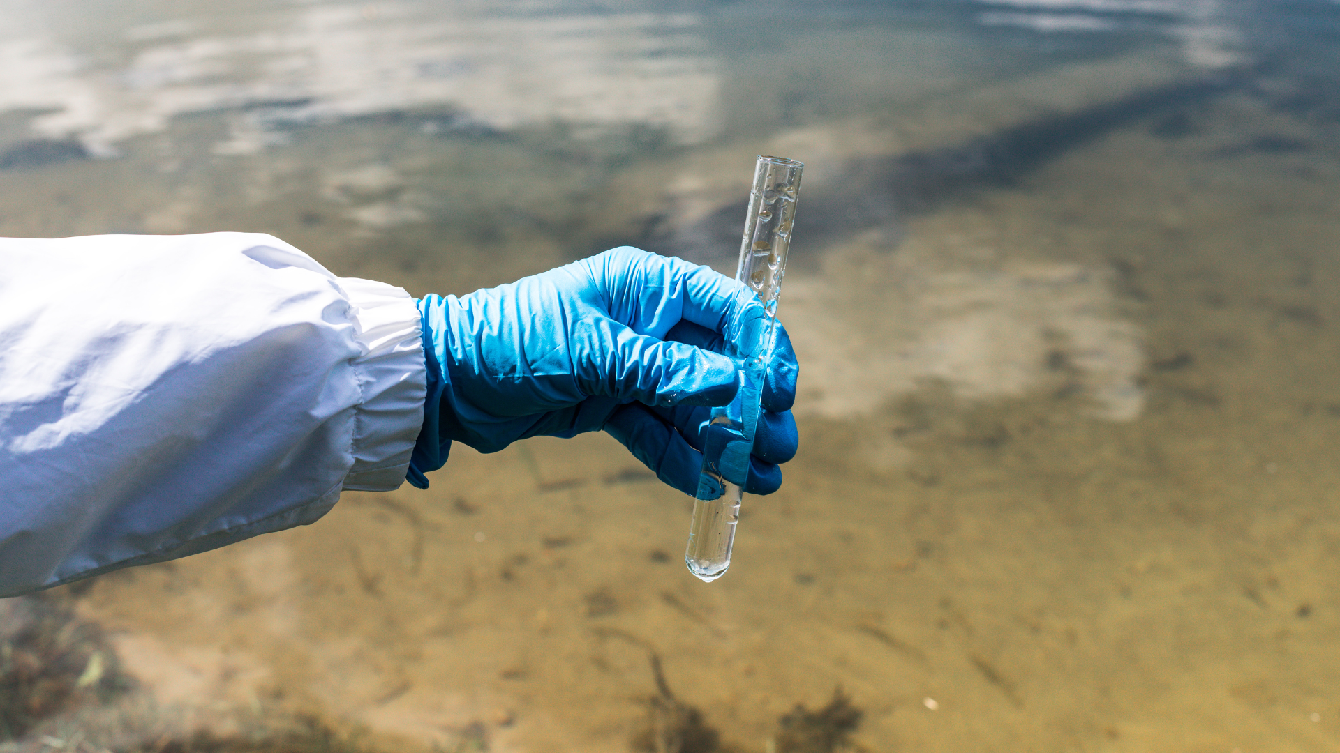 Persona con guantes azules y bata de laboratorio blanca sosteniendo un tubo de ensayo transparente lleno de agua cerca de un cuerpo de agua.