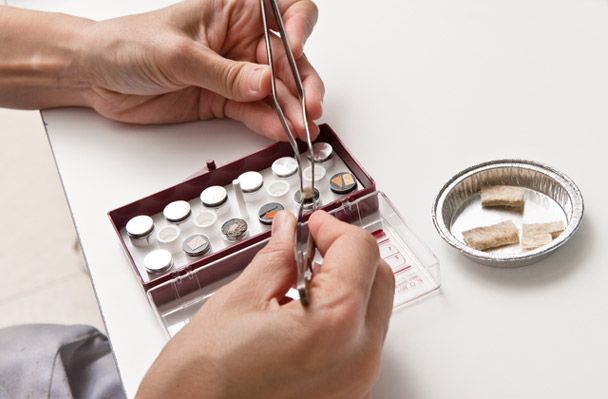 Manos usando pinzas para colocar una muestra de tejido en un vial, con más viales en una caja y muestras en un plato.