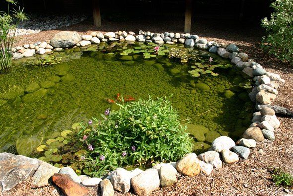 Nice small pond with lily pads — Clarkston, MI — Lowries Landscape Inc