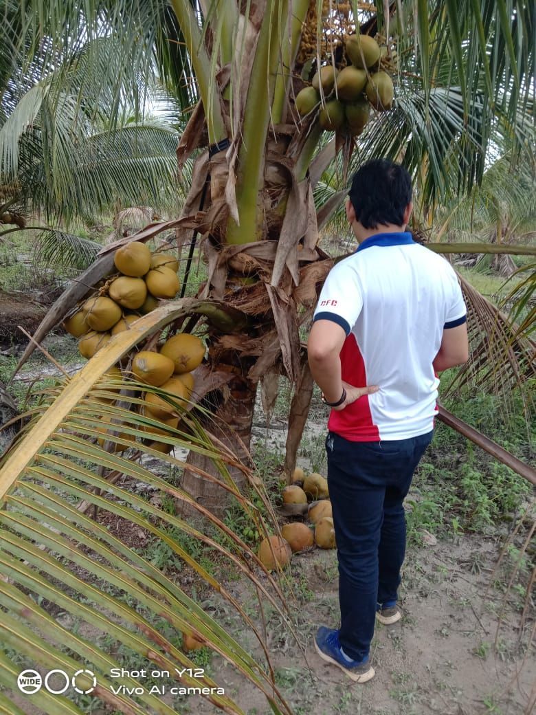 A man is standing in front of a coconut tree.