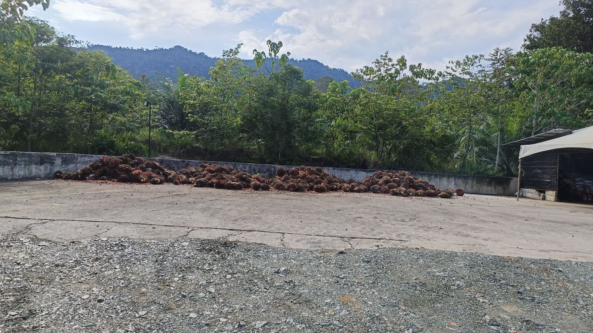 A large pile of dirt is sitting in the middle of a gravel road.