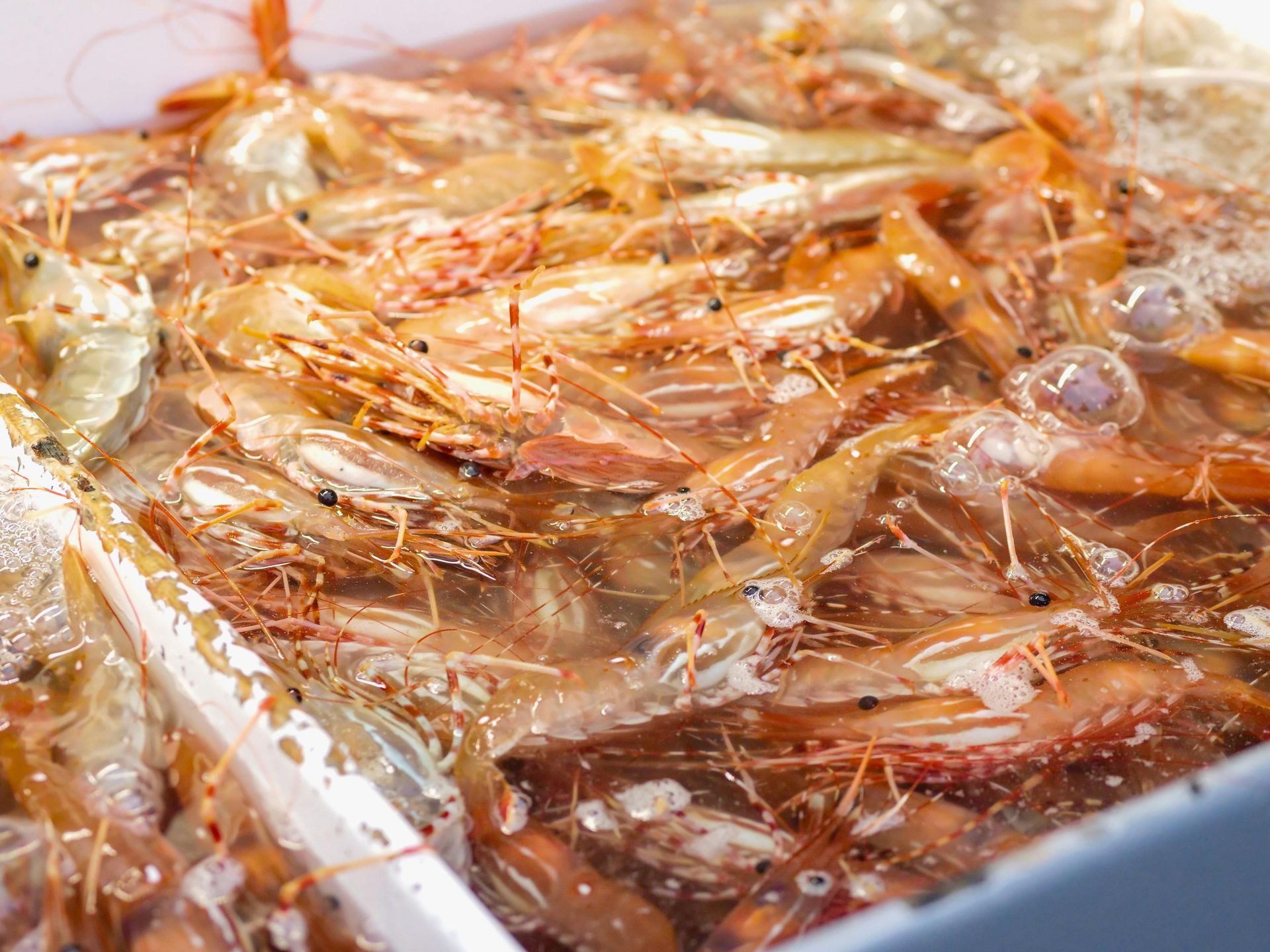Longgokan udang sedang dimasak dalam kuali dengan sudu.