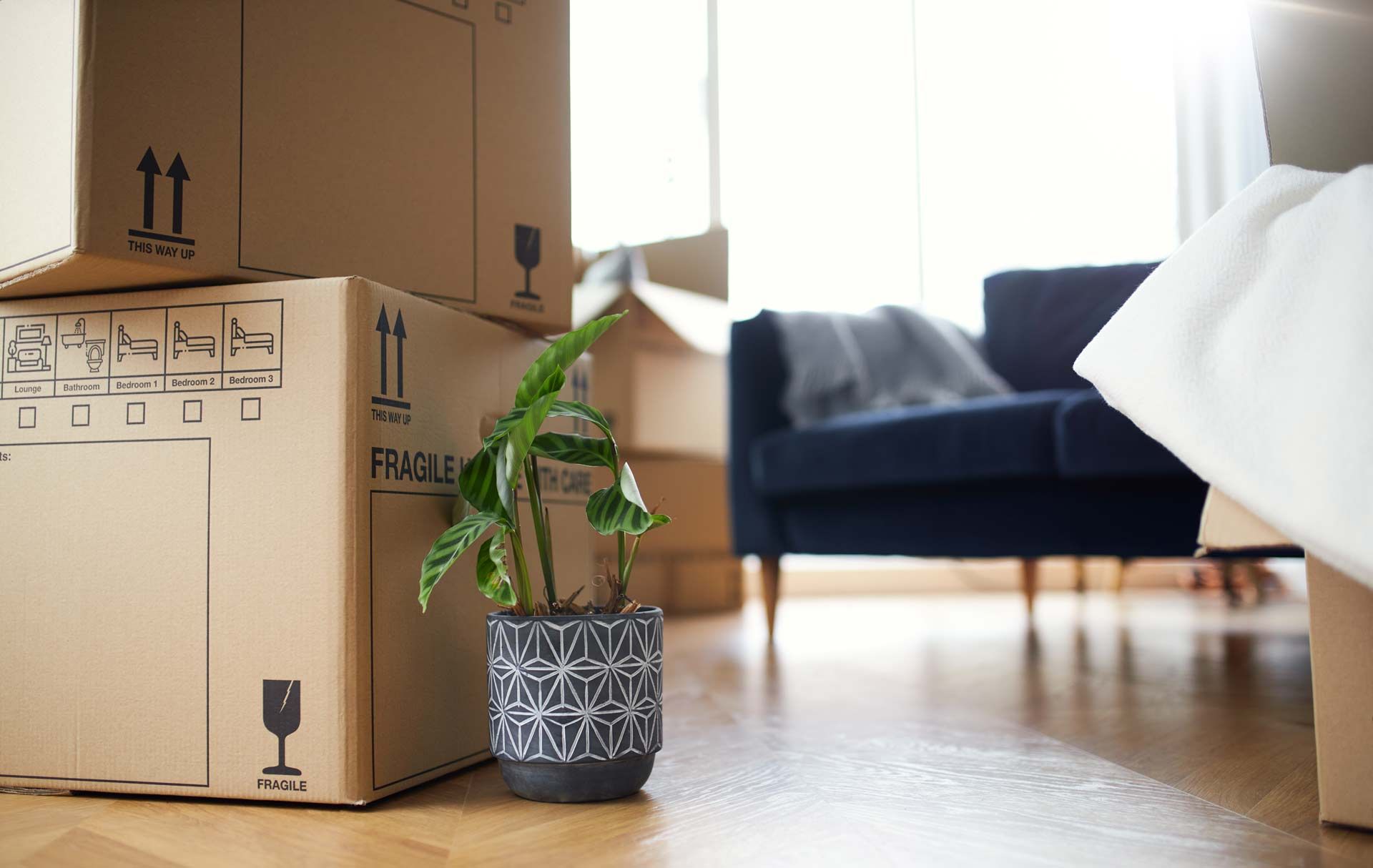 Moving Boxes on House Floor