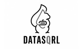 Black-and-white DataSQRL logo with a stylized squirrel icon above the wordmark