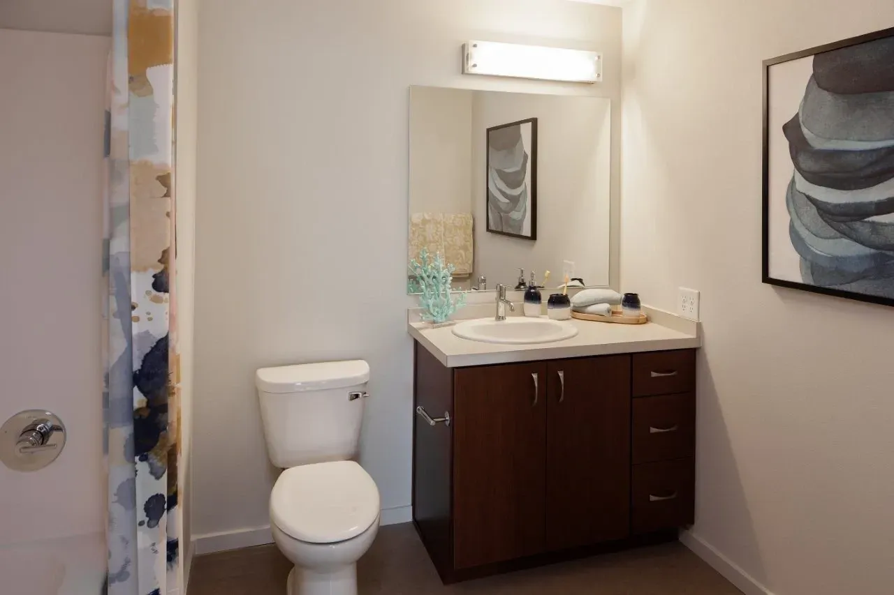 Modern bathroom with a vanity, sink, toilet, and shower with a decorative curtain.