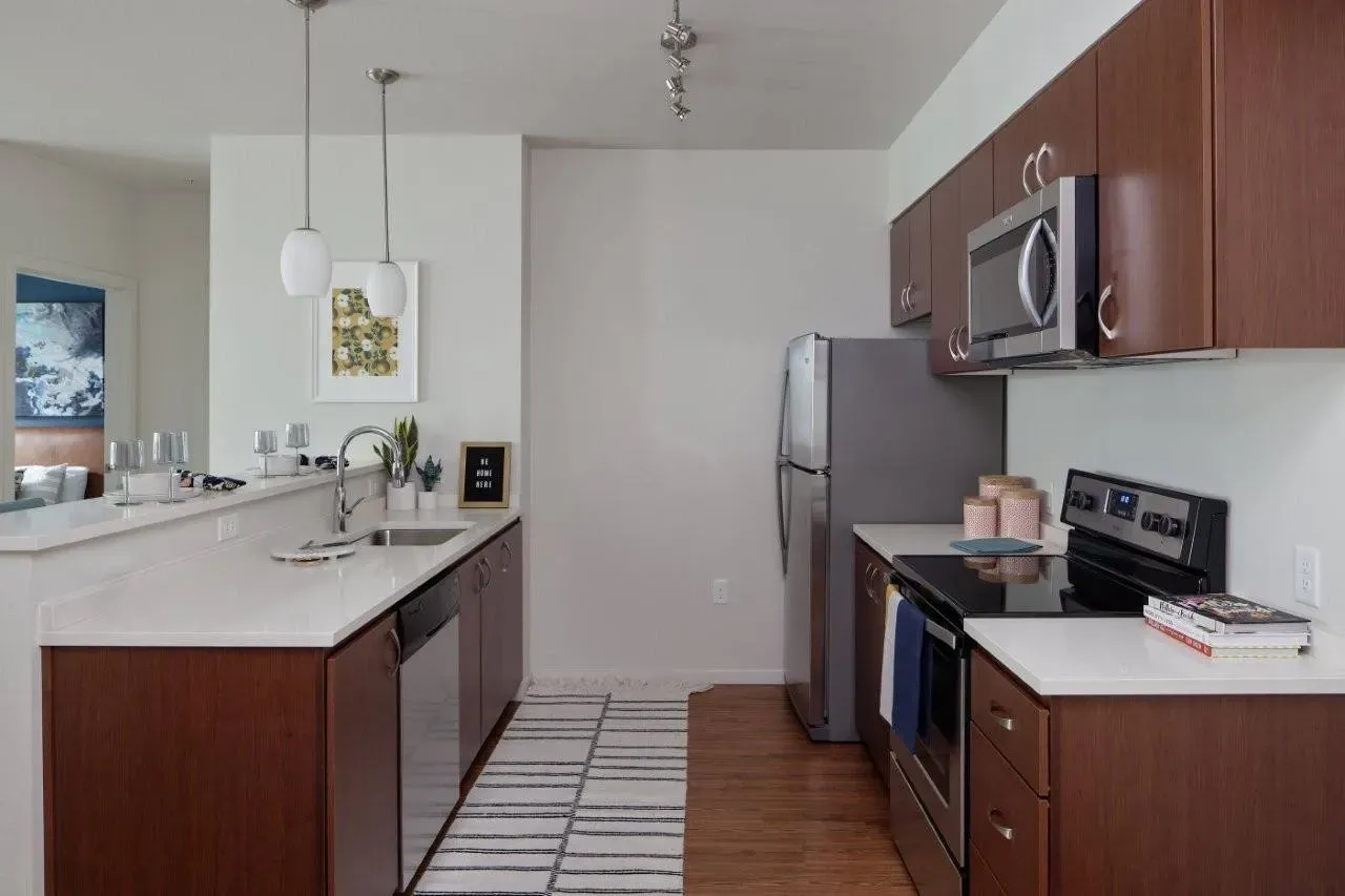Modern kitchen with stainless steel appliances and dark wood cabinets.